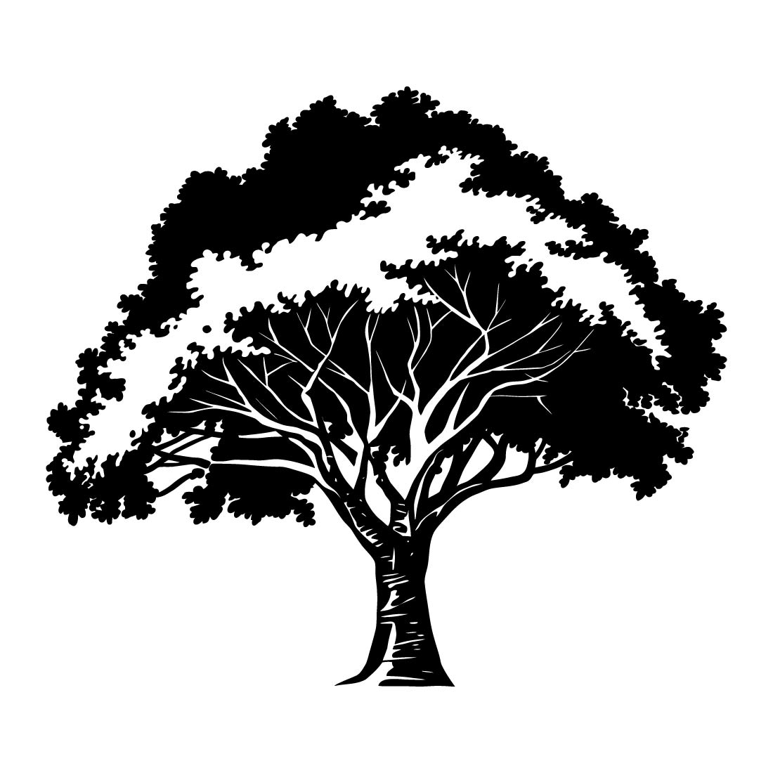 majestic oak silhouette 3 29