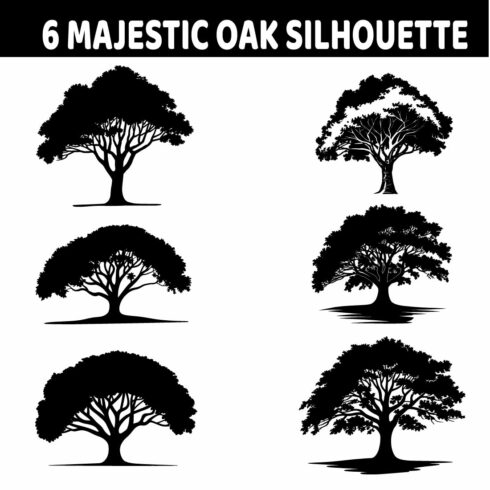 6 Silhouette Majestic Oak Timeless Tree with Expansive Branches Icon Design Bundle cover image.