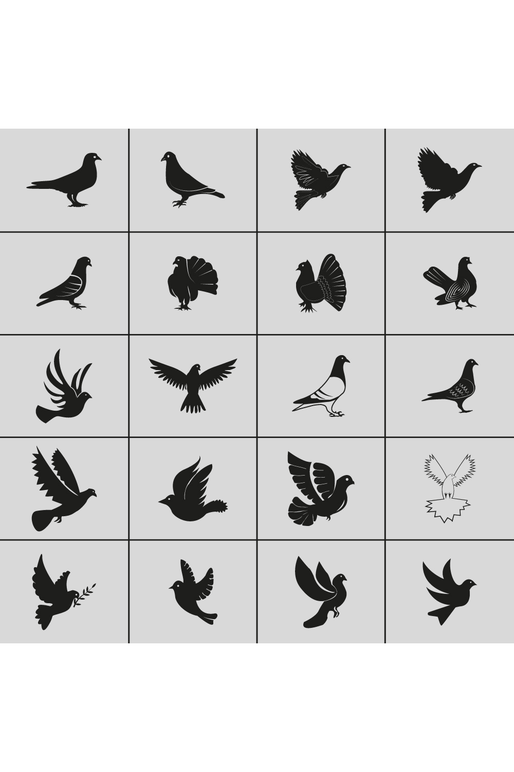 Pigeon hand-drawn designs pinterest preview image.