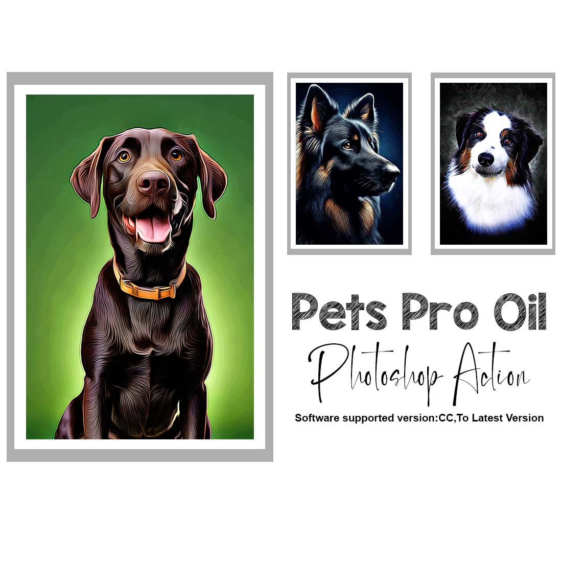 Pets Pro Oil Photoshop Action cover image.