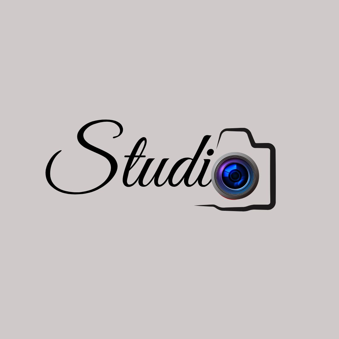 studi 293