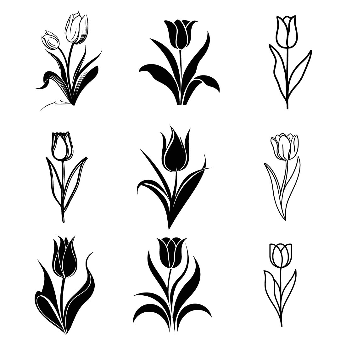 V6-9 Tulips in Bloom A Growth Illustration design Bundle cover image.