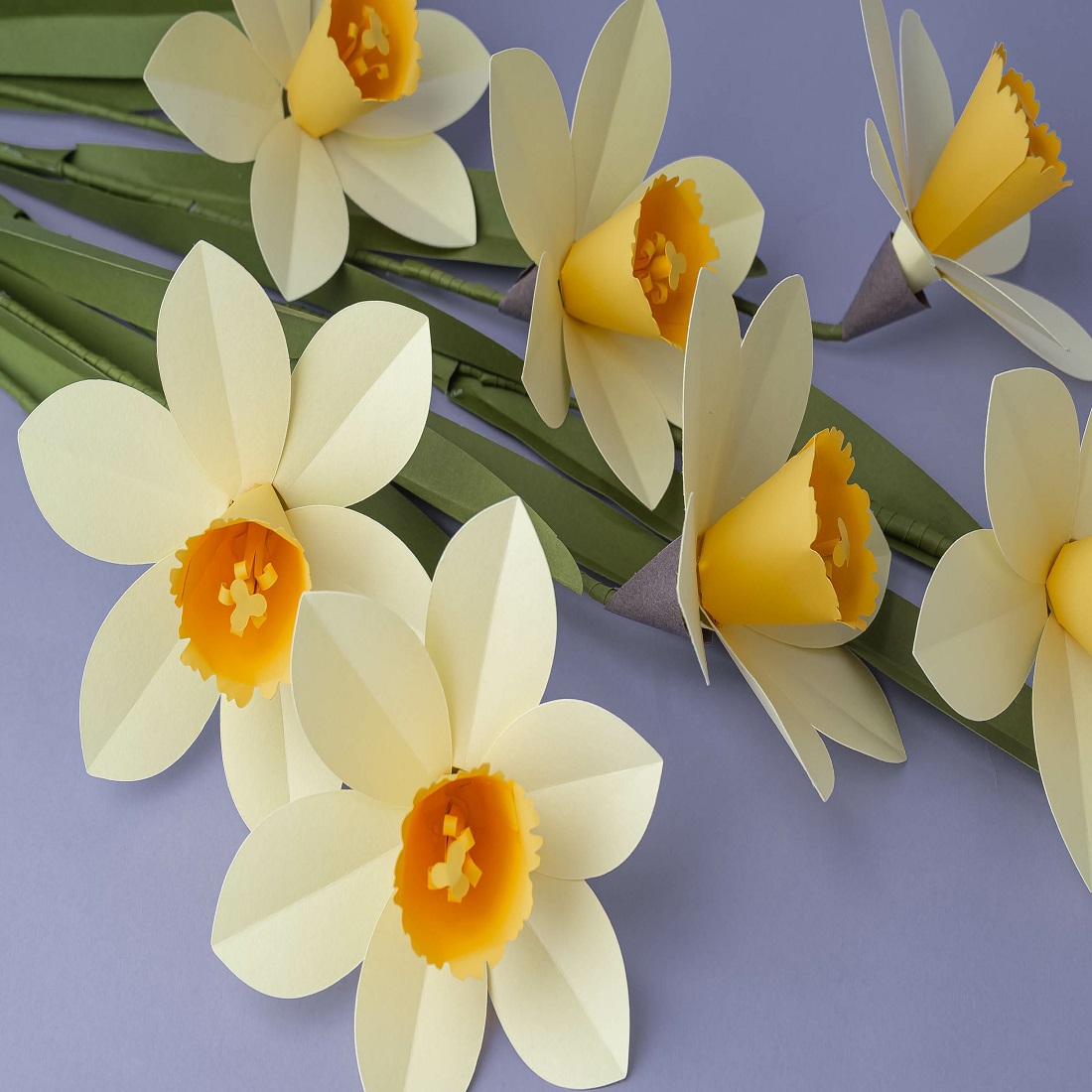 3D Flower SVG Paper Narcissus Template preview image.