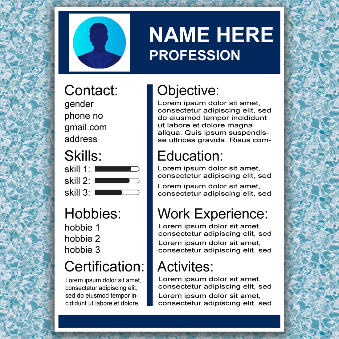 Professional Resume Template - High Resolution, Multiple File Formats preview image.