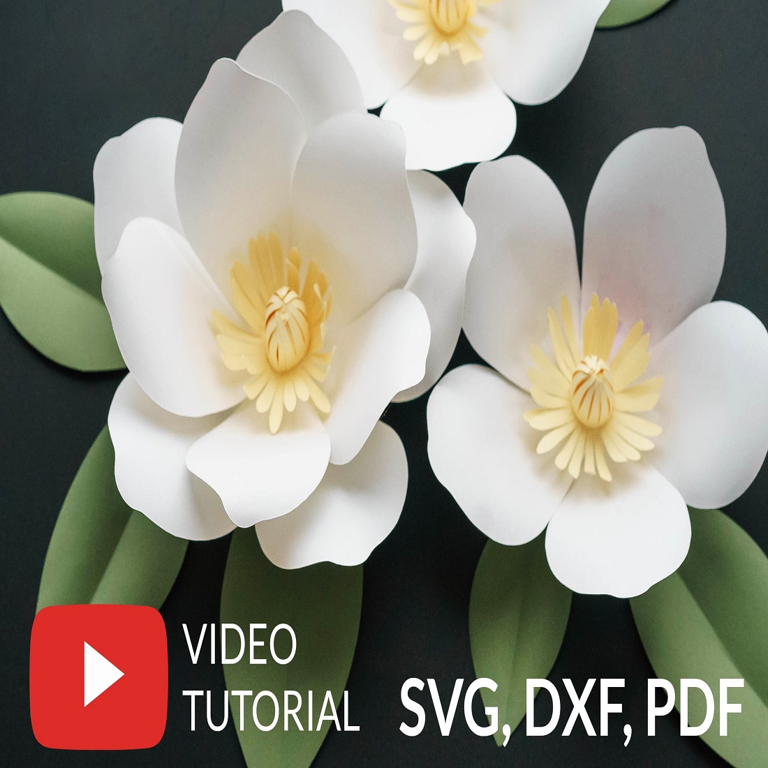 Paper Flower Template 3D Paper Magnolia SVG preview image.