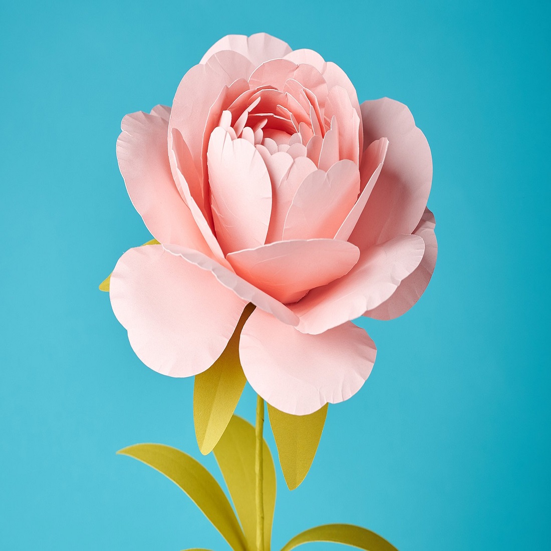 3D Flower SVG Paper Peony Template cover image.