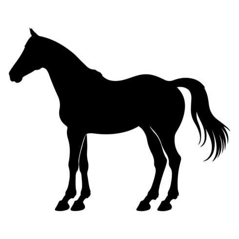 Quarter Horse silhouette cover image.