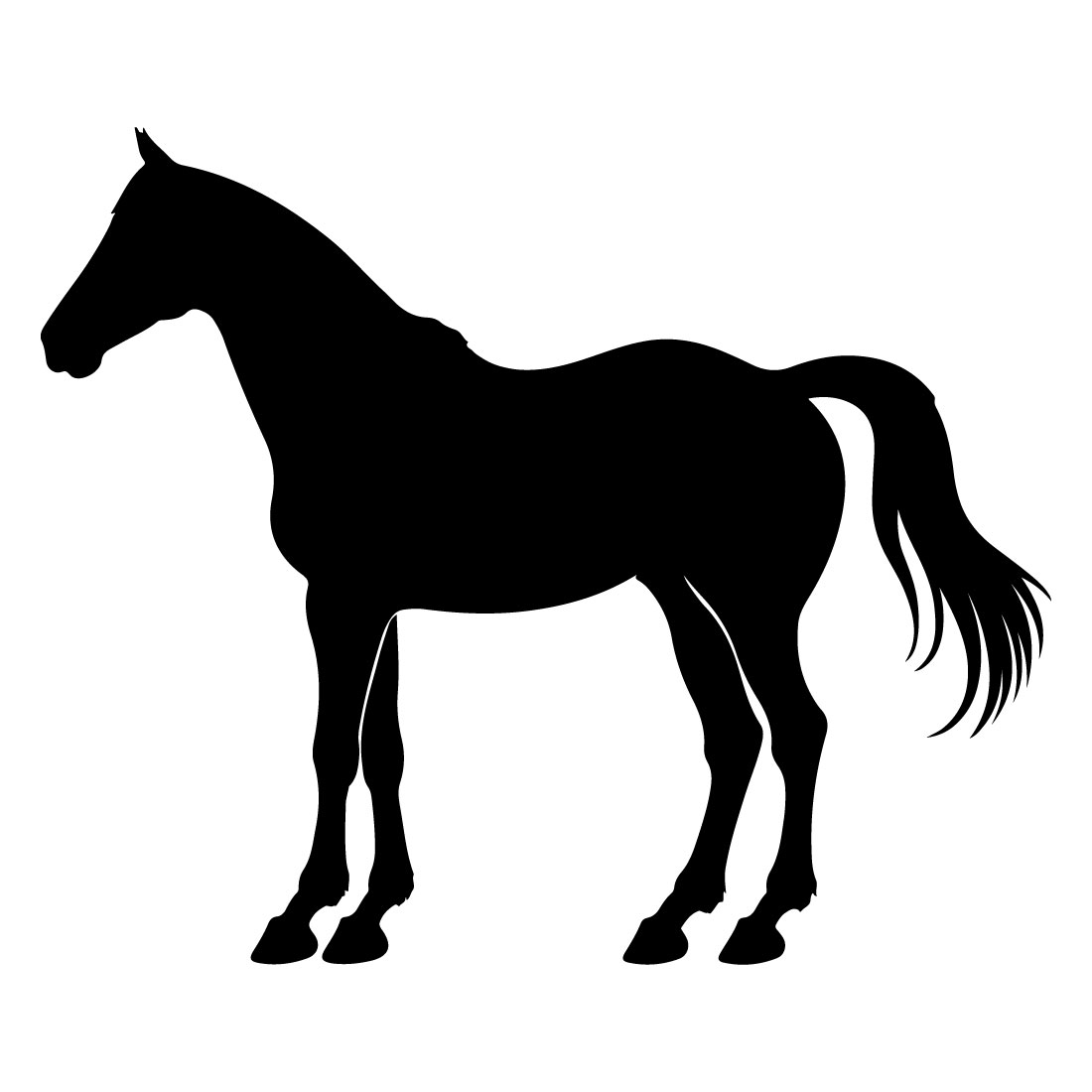 Quarter Horse silhouette cover image.