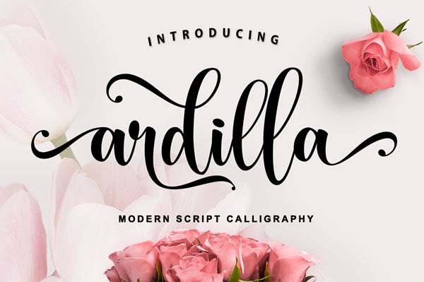 ARDILLA - Beautiful Handwritten font- Script font pinterest preview image.