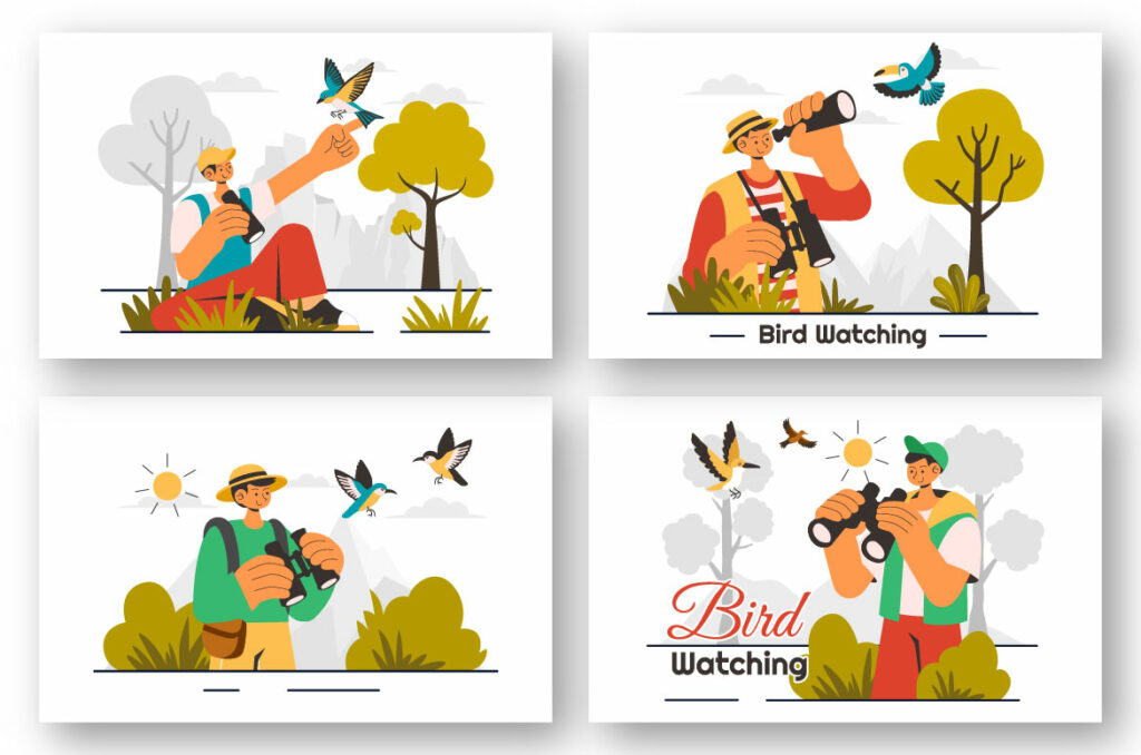 9 Bird Watching Activity Illustration - MasterBundles