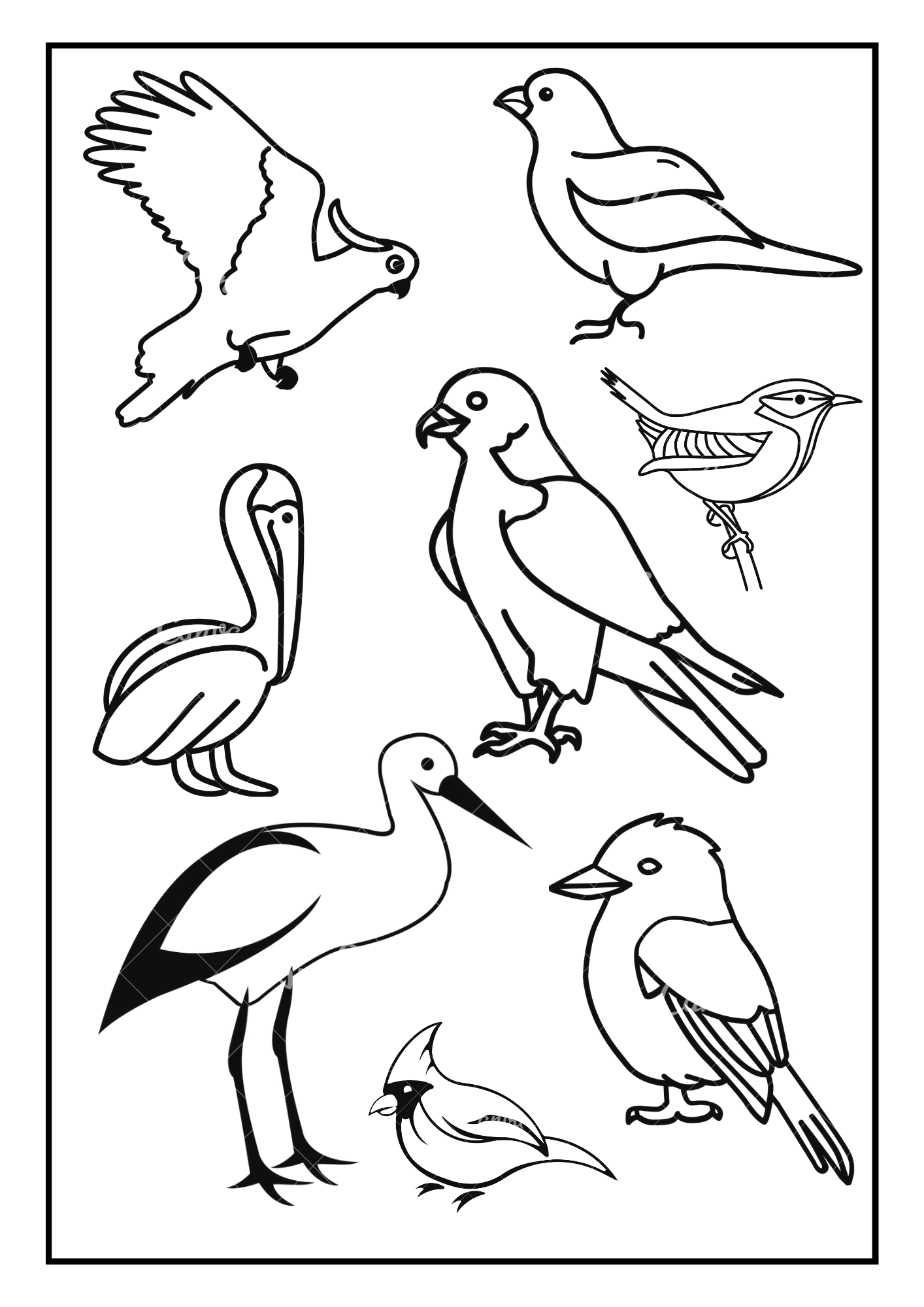 birds colouring in worksheet 20241222 161513 0000 333