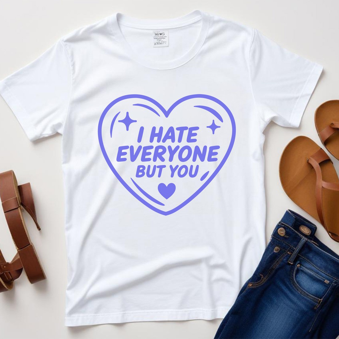 i hate everyone but you plane tshirt mockup 539