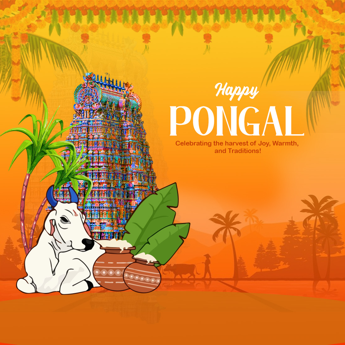 jpg pongal 438