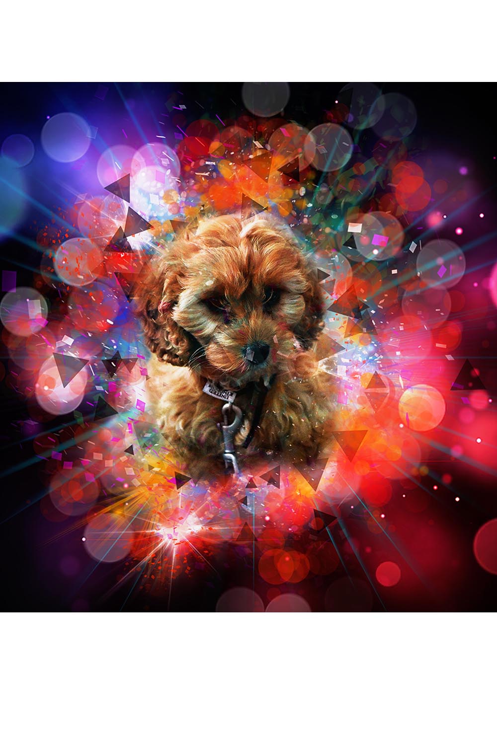 Dog Bokeh Light Effect PS Action pinterest preview image.