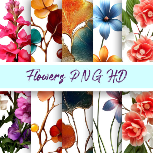 Flowers PNG cover image.