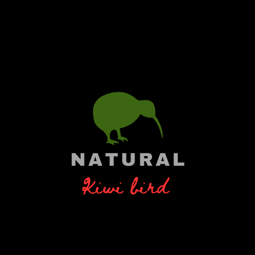 simple wild kiwi bird design templates. 904