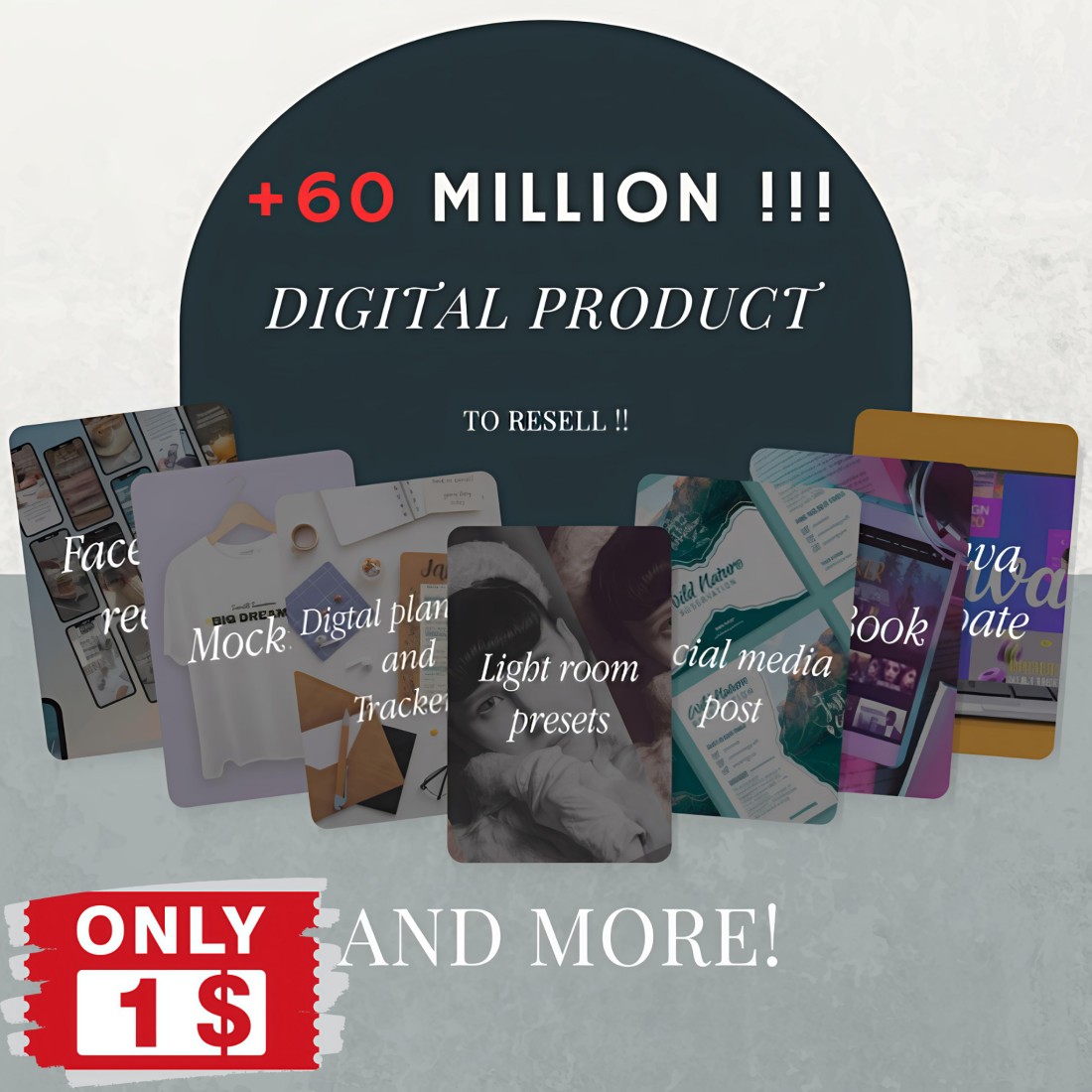 60 Million + Digital Products for Resale The Ultimate Passive Income Bundle with PLR & MRR Rights preview image.