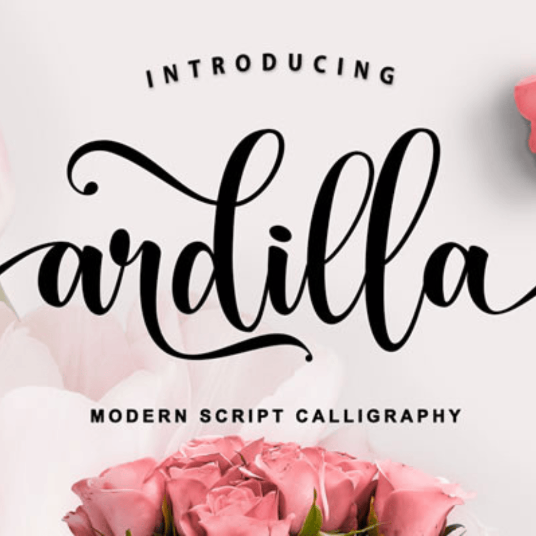 ARDILLA - Beautiful Handwritten font- Script font cover image.