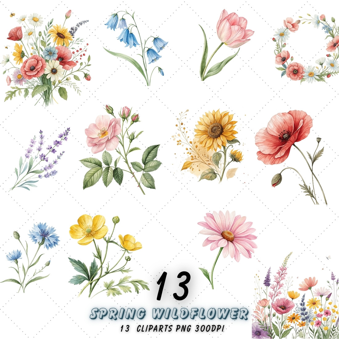 Spring Wildflower Sublimation Clipart Bundle – Watercolor Wildflowers for T-Shirts, Mugs, and DIY Projects cover image.