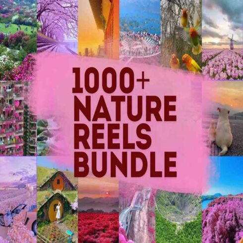 1000+ Nature Reels Bundle,Instagram reels,reel videos,Nature reels,facebook reels,TikTok Videos,YouTube Shorts cover image.