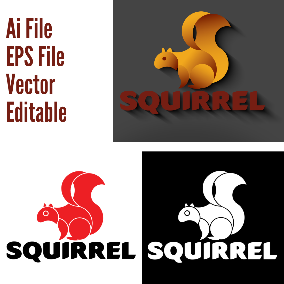 Squirrel Logo cover image.