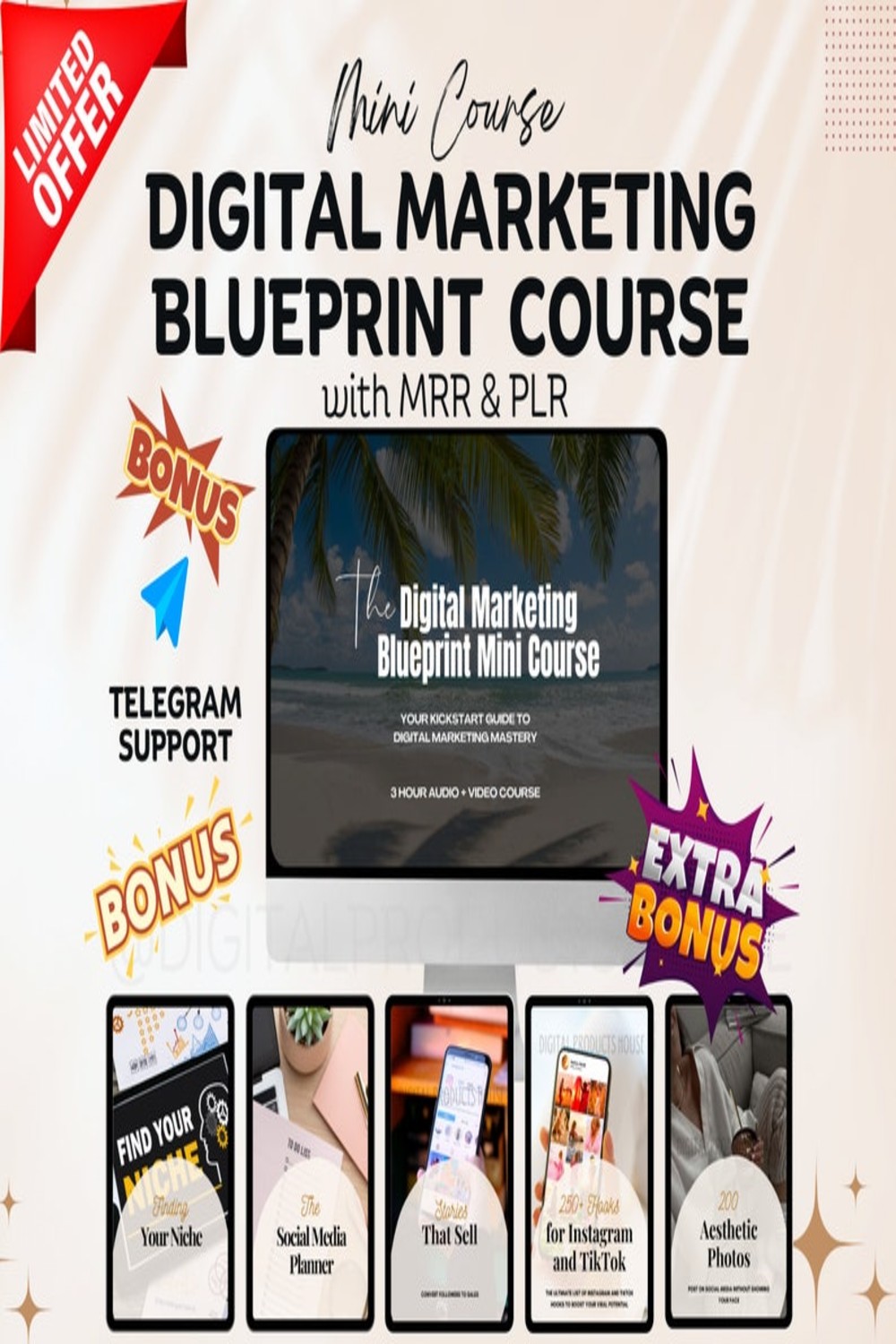 Digital Marketing Blueprint Mini Course with master resell rights & private label rights DFY Digital Marketing for MRR course PLR pinterest preview image.