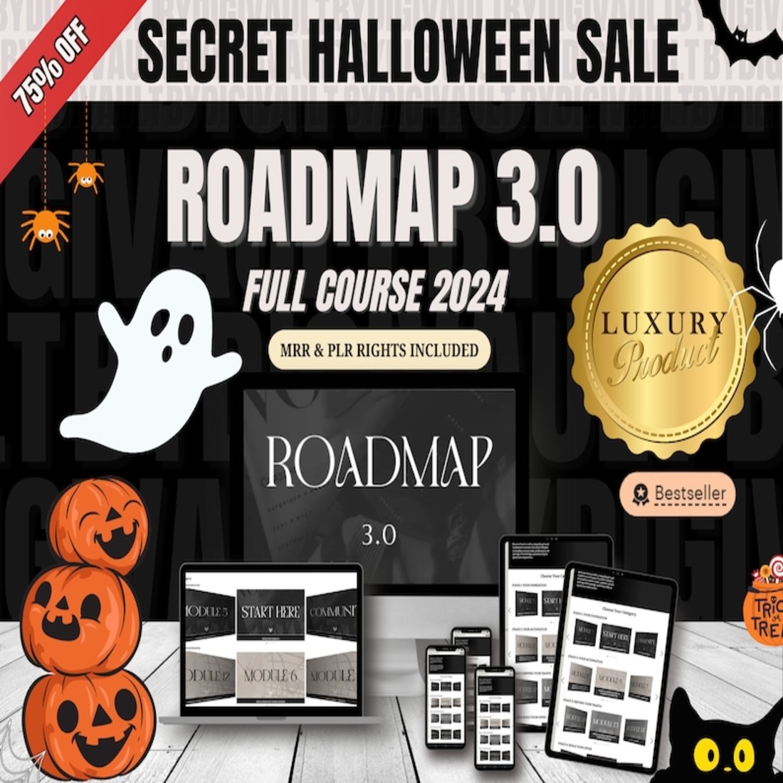 Roadmap 30 Viral Course with Master Resell Rights Digital Marketing course Passive Income Viral Course Roadmap To Riches 30Course PLR DFY cover image.