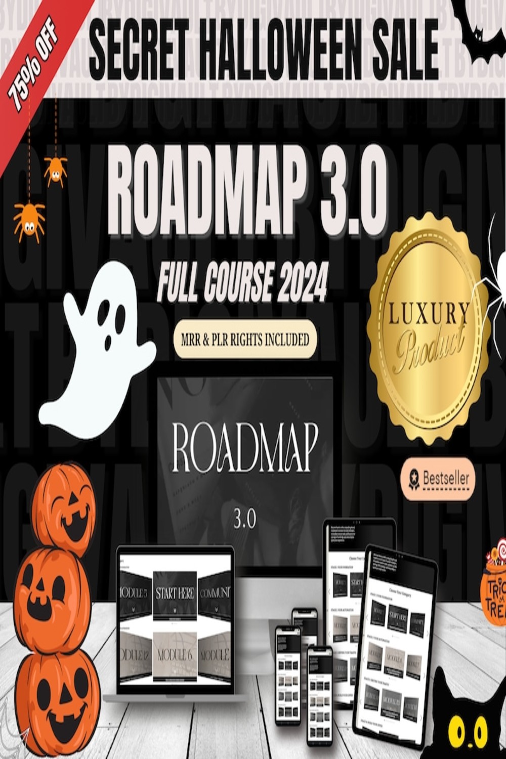 Roadmap 30 Viral Course with Master Resell Rights Digital Marketing course Passive Income Viral Course Roadmap To Riches 30Course PLR DFY pinterest preview image.