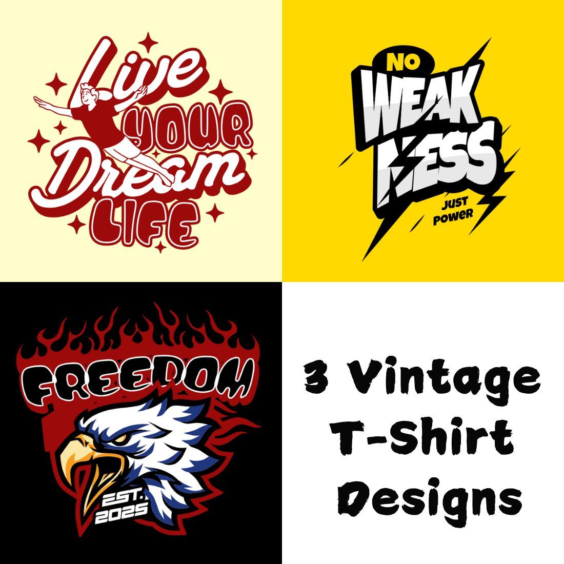 Vintage T-Shirts Designs preview image.