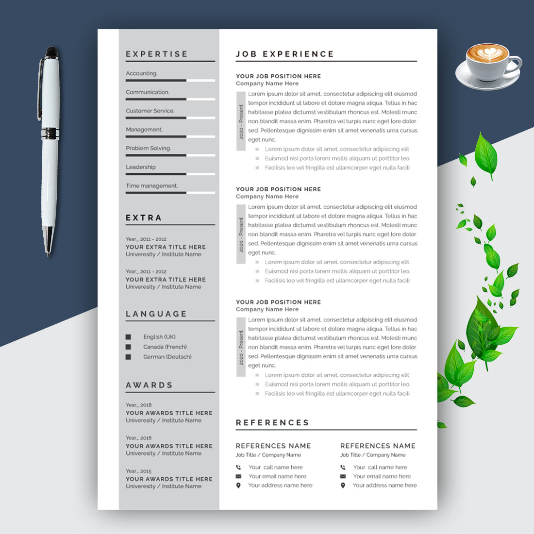 Clean and Professional Resume Layout preview image.