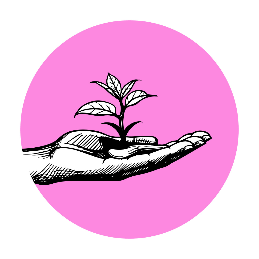 Hand Holding Plant Vintage Engraving Vector Illustration preview image.