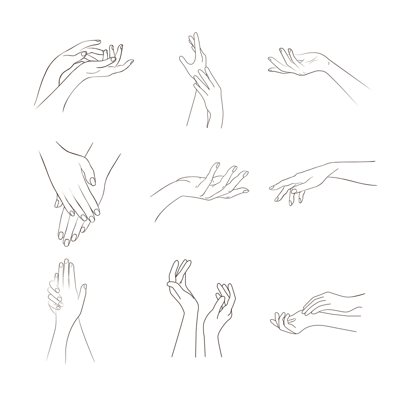 Outline woman hands preview image.