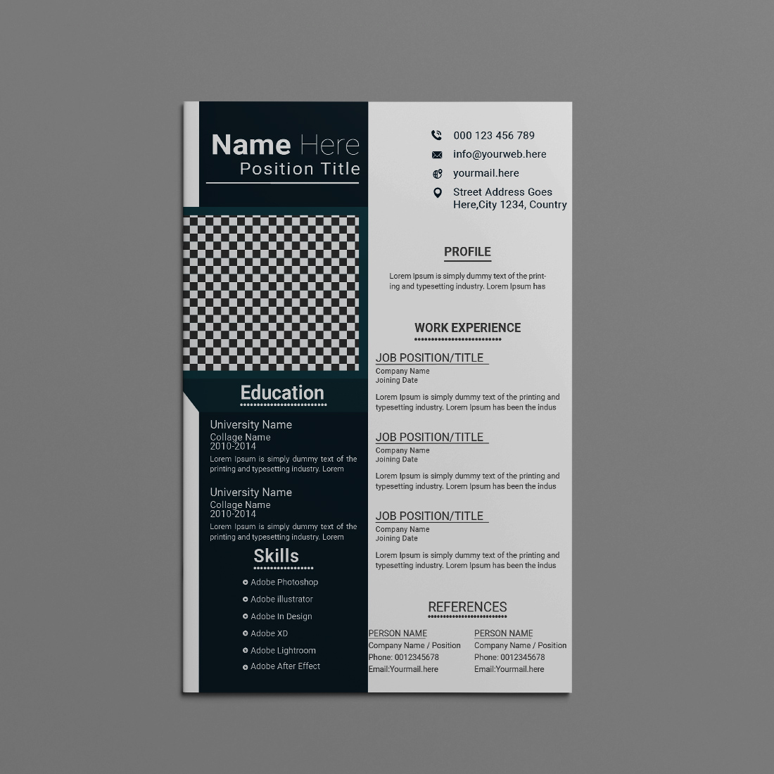 This resume layout balances aesthetics and professionalism with a sleek, minimalist approach preview image.