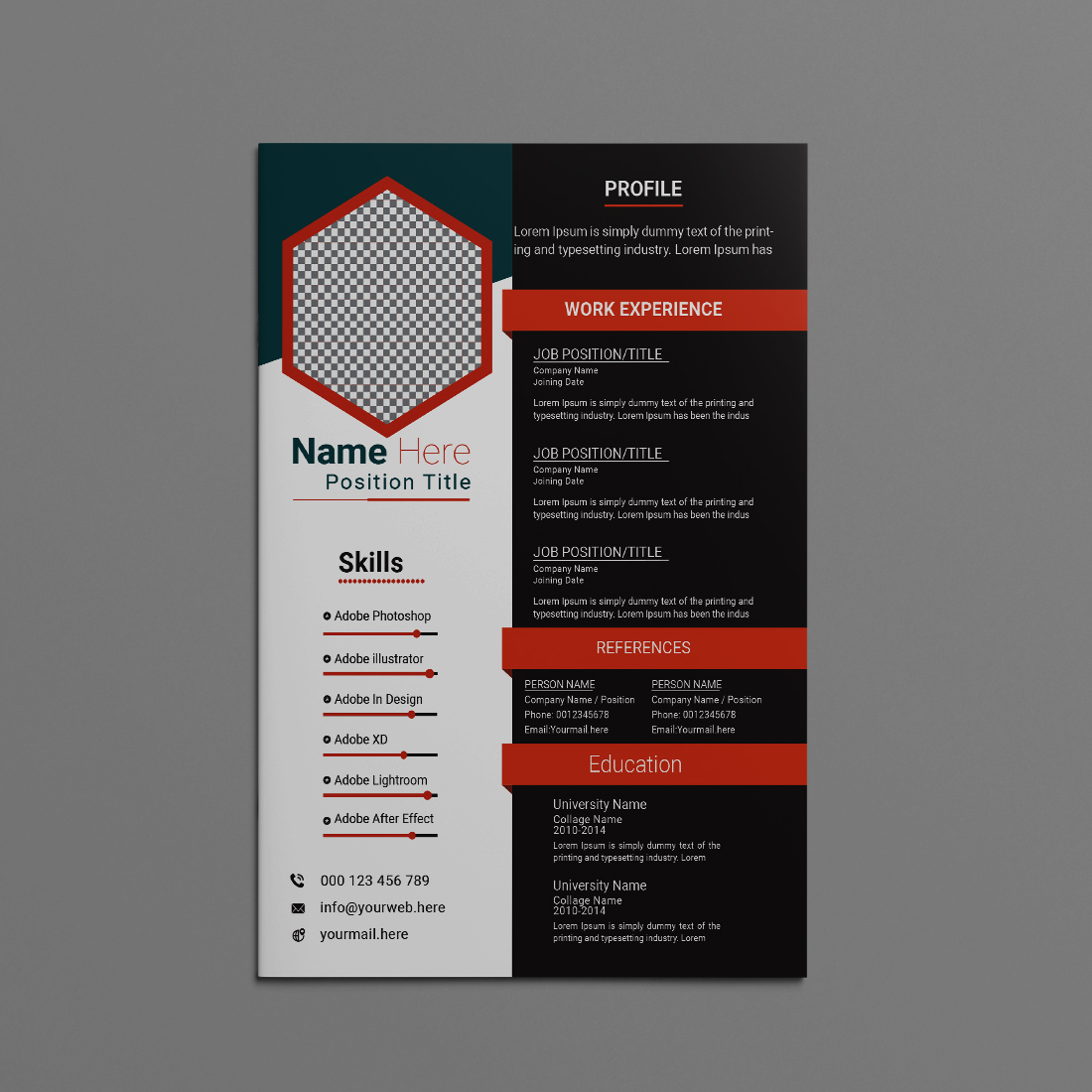 This resume layout balances aesthetics and professionalism with a sleek, minimalist approach preview image.