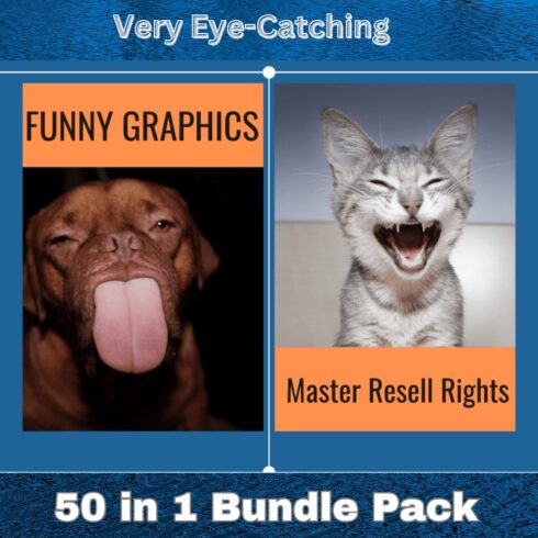 “Funny” graphics Bundles cover image.