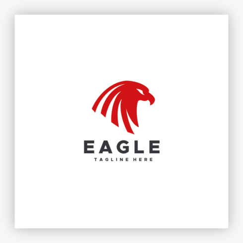 Eagle Head Bird Logo cover image.