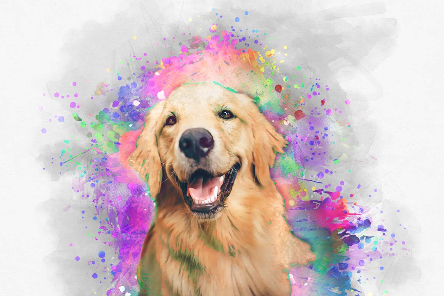 pet painting plugin 4 348