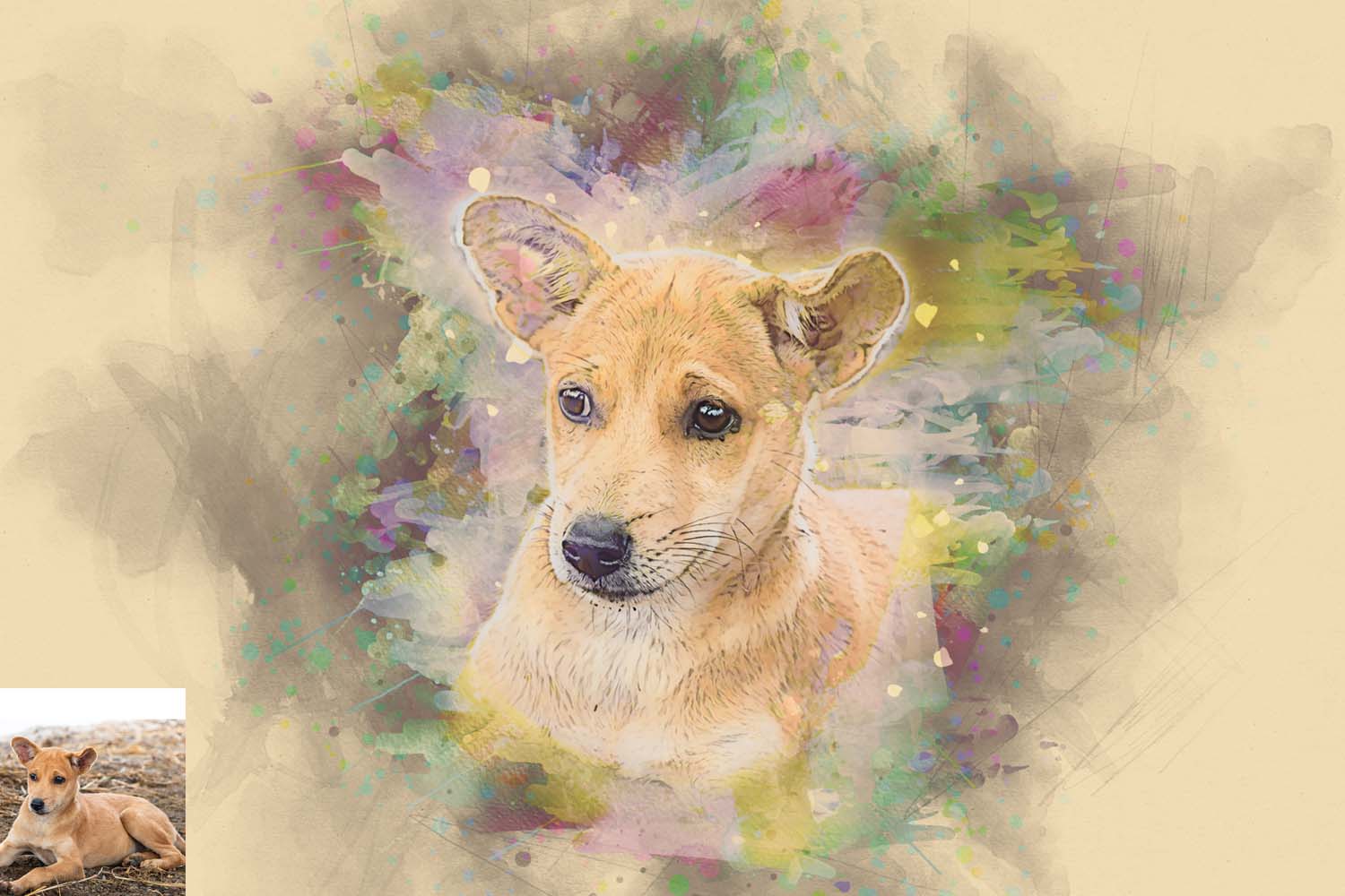 pet painting plugin 7 632