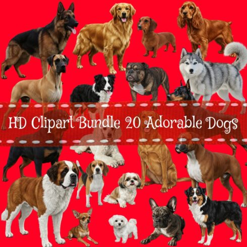 "20 Dog Breeds PNG Clipart Bundle | High-Quality 4000x4000 PX | Transparent Background | Digital Stickers & Sublimation Graphics" cover image.