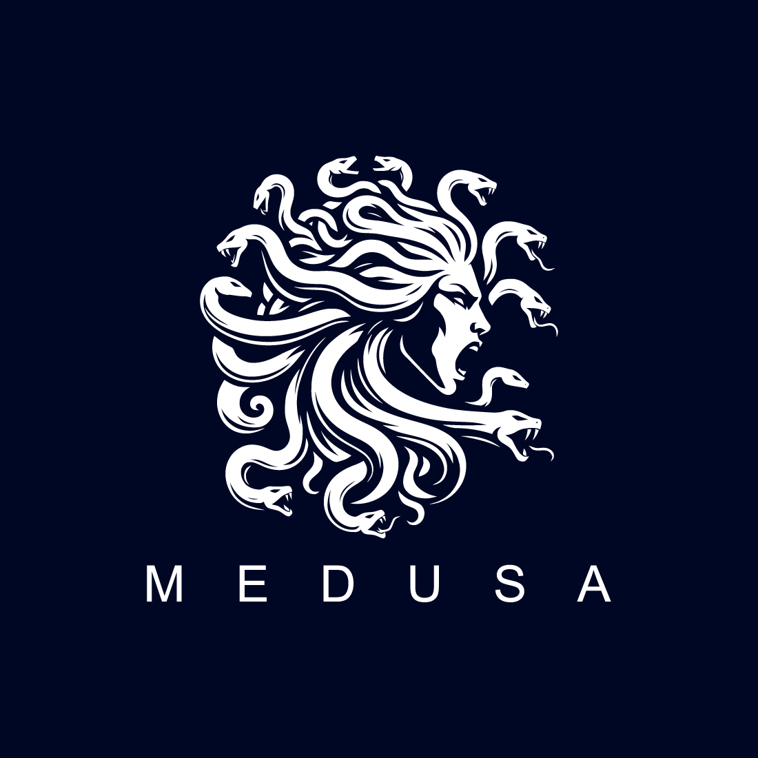 Medusa Logo cover image.