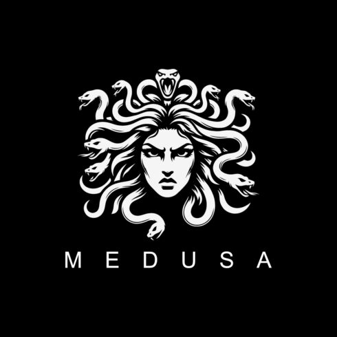 Medusa Logo cover image.