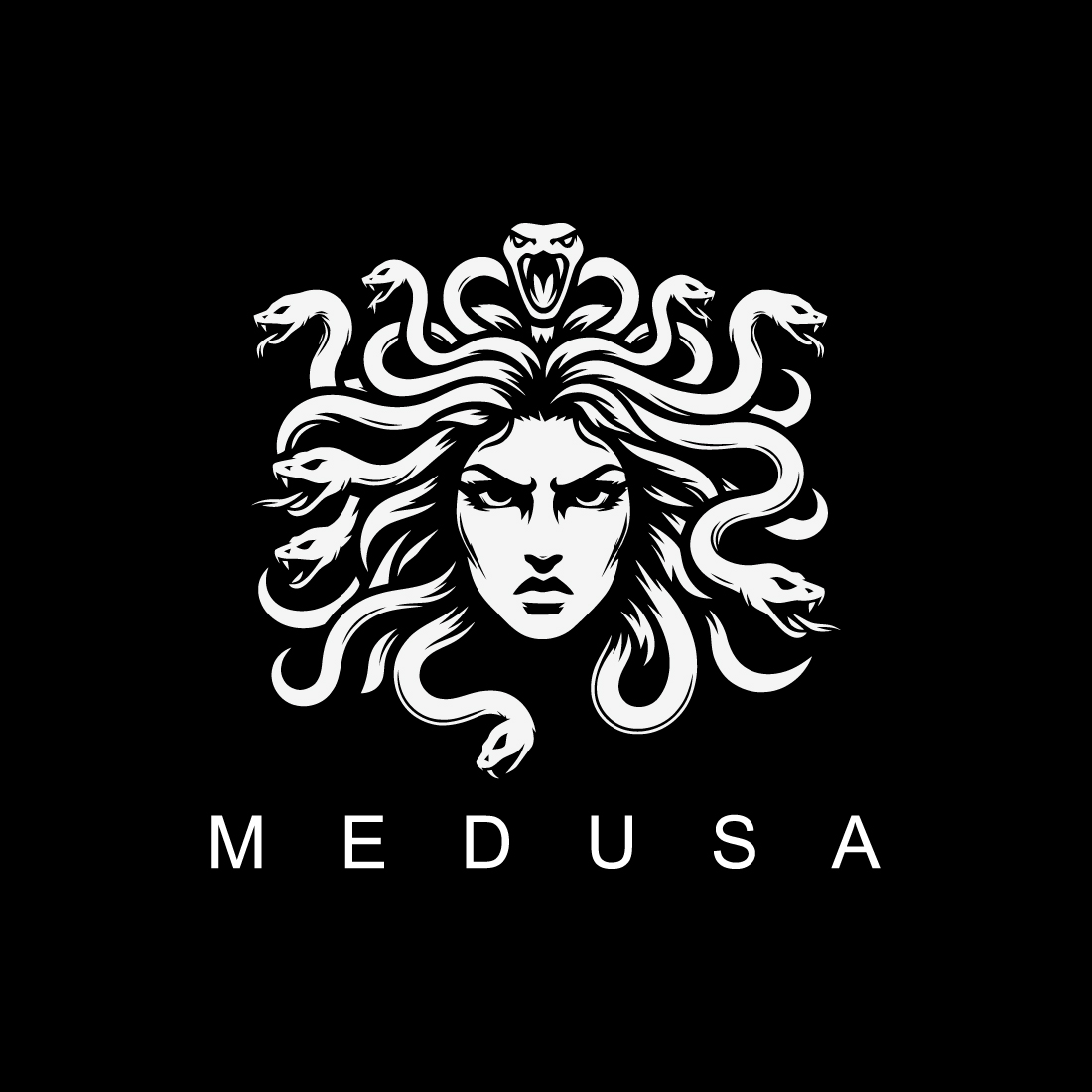 Medusa Logo cover image.