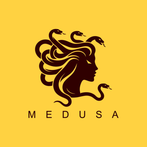 Medusa Logo cover image.