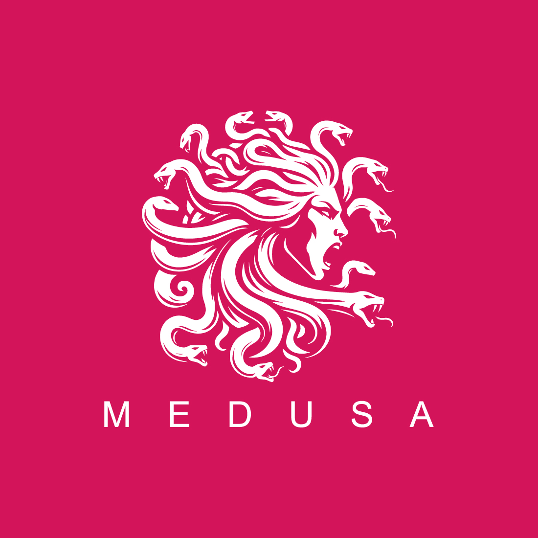 Medusa Logo preview image.