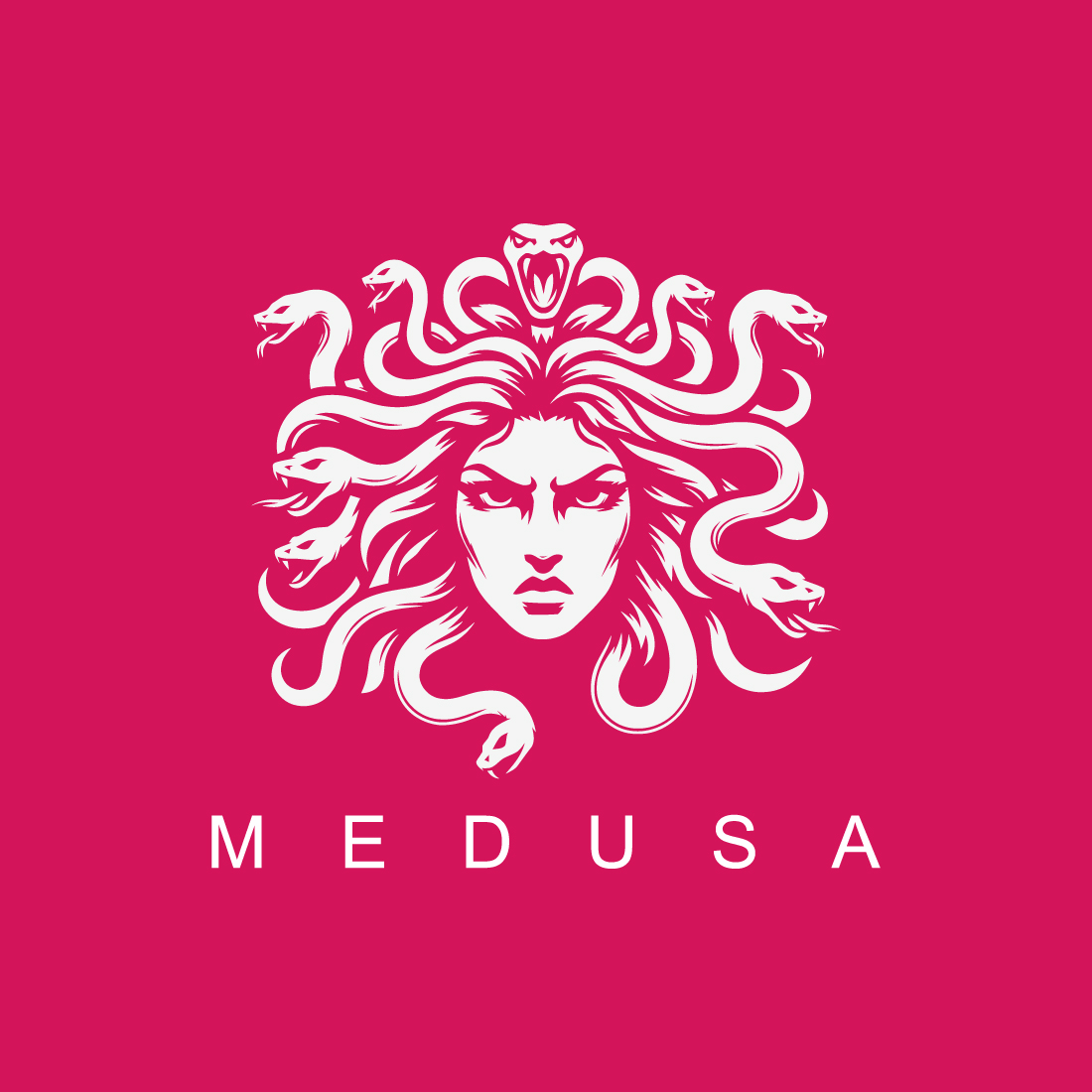 Medusa Logo preview image.