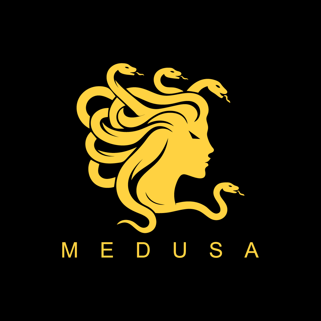 Medusa Logo preview image.