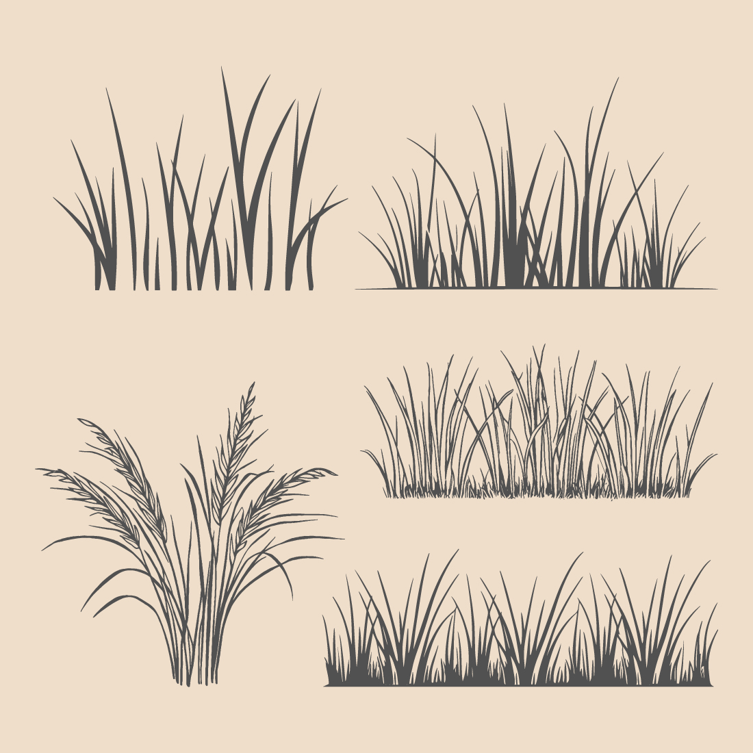 Collection of Silhouettes of grass plants preview image.