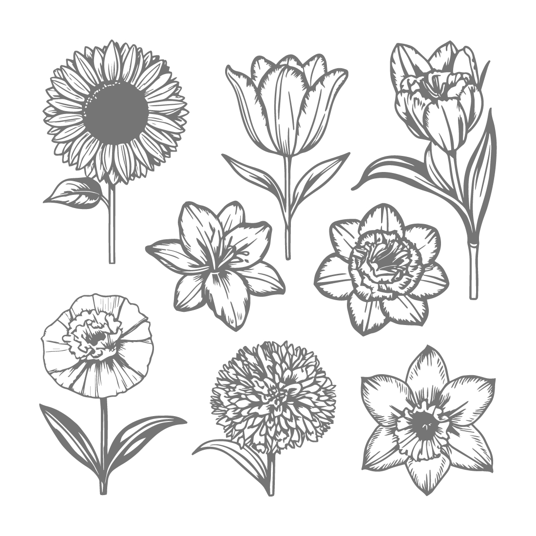 Collection of Vintage Floral Illustrations Sunflowers Tulips Lilies and More preview image.