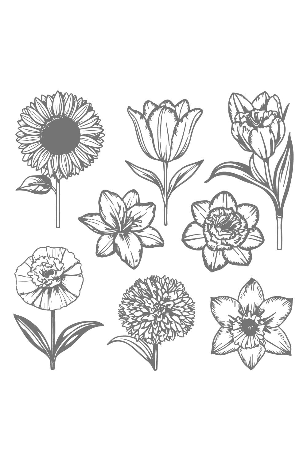 Collection of Vintage Floral Illustrations Sunflowers Tulips Lilies and More pinterest preview image.