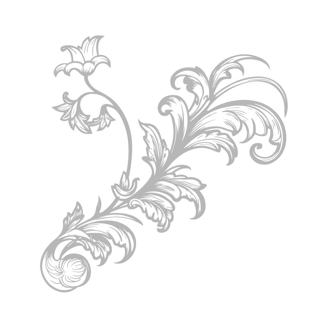 Hand drawn ornamental border baroque style cover image.